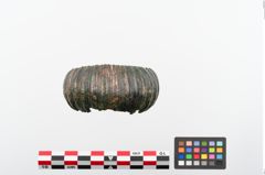 Foto von Bronzemelonenarmreif (NHMW-PRAE-024374)